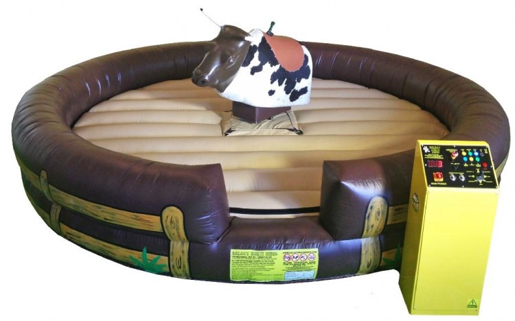 Mechanical Bull